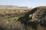 Landscape near Cortez 6