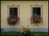 Windows in Holaovice