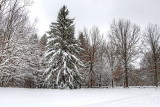 Winter in Emery Park