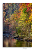 Little River Reflection