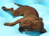 CHILLIN ON THE RAFT