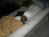 YOURE DISTURBING MY BEAUTY SLEEP