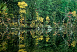 Vermont Reflection 635B1384.jpg