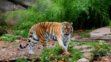 Cleveland Zoo