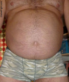 beer belly fat hairy gut huge stomach.jpg