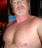 blond bear daddie hairychest pics.jpg