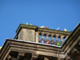 The pigeons enjoying the blue sky