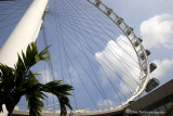 Singapore Flyer