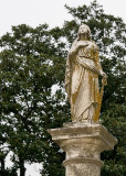 Elmwood_0169
