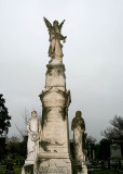 Elmwood_0183