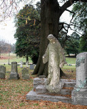 Elmwood_0225