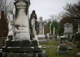 Elmwood_0194