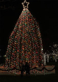 Town Square2