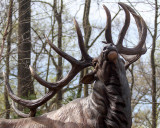 Elk Statue