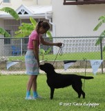 IMG_0642.jpg