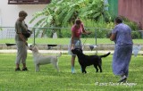IMG_0663.jpg