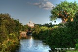 Everest and Tree of Life