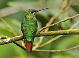 Gould's Jewelfront