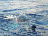 DSCN0656k.jpg