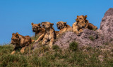 Botswana, southern Africa