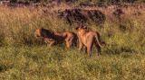 Botswana, southern Africa