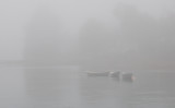 October 20 - Foggy Boats
