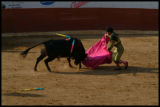 Bullfight-004