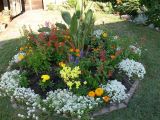 Cliffs garden
