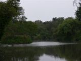 View of Neary Lagoon
