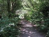 Bike Trail at Bear Valley