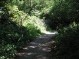 The Bike Trail