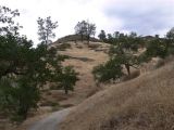 Trail at Pinnacles