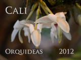 Cali Orquideas 2012