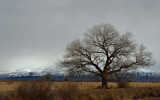 Storm Clearing, Fallon, NV