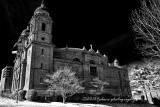 IMG_6308 IR.jpg