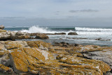 002_Cape Peninsula_037.jpg
