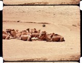 16mm_FW4E1739_41_Sample_0004.jpg