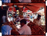 16mm_FW4E1739_41_Sample_0103.jpg