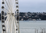 Harbor ferris wheel.