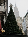 Macys Christmas tree and Empire State Building