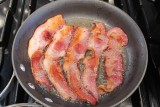 key ingrediant in BLAT