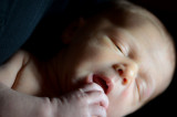 Oliver_Gaston-56.jpg