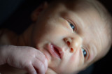 Oliver_Gaston-59.jpg