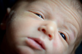 Oliver_Gaston-61.jpg