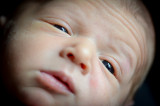 Oliver_Gaston-62.jpg