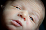 Oliver_Gaston-63.jpg