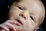 Oliver_Gaston-67.jpg