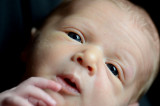 Oliver_Gaston-68.jpg