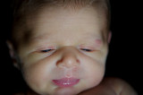 Oliver_Gaston-104.jpg
