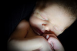 Oliver_Gaston-124.jpg